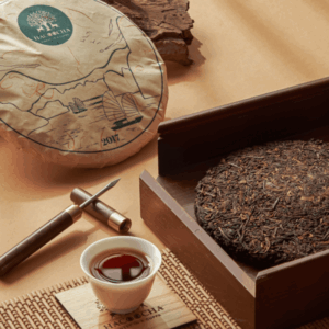 NXC 800 X 800 02 600x600