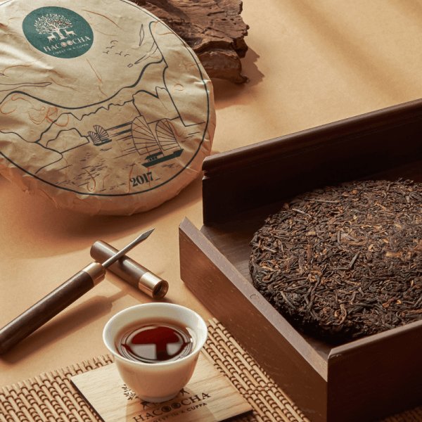 NXC 800 X 800 02 600x600