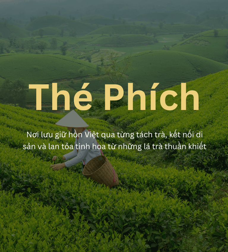 Banner Trà (840 X 414 Px)